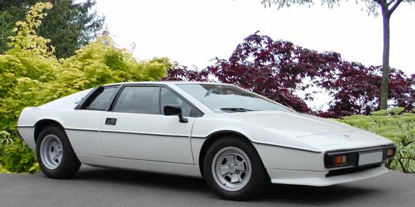 Lotus Esprit image